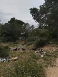 Terrain vue Panoramique la Marsa Jbal Khaoui à Cite Bhar Lazreg