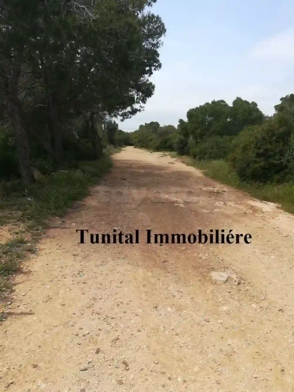 Terrain vue Panoramique la Marsa Jbal Khaoui à Cite Bhar Lazreg - Vue 1