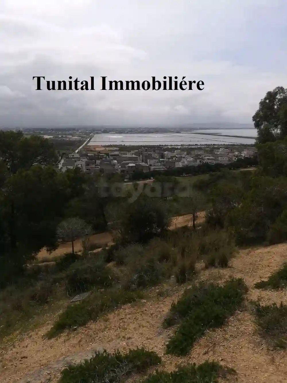 Terrain vue Panoramique la Marsa Jbal Khaoui à Cite Bhar Lazreg - Vue 2