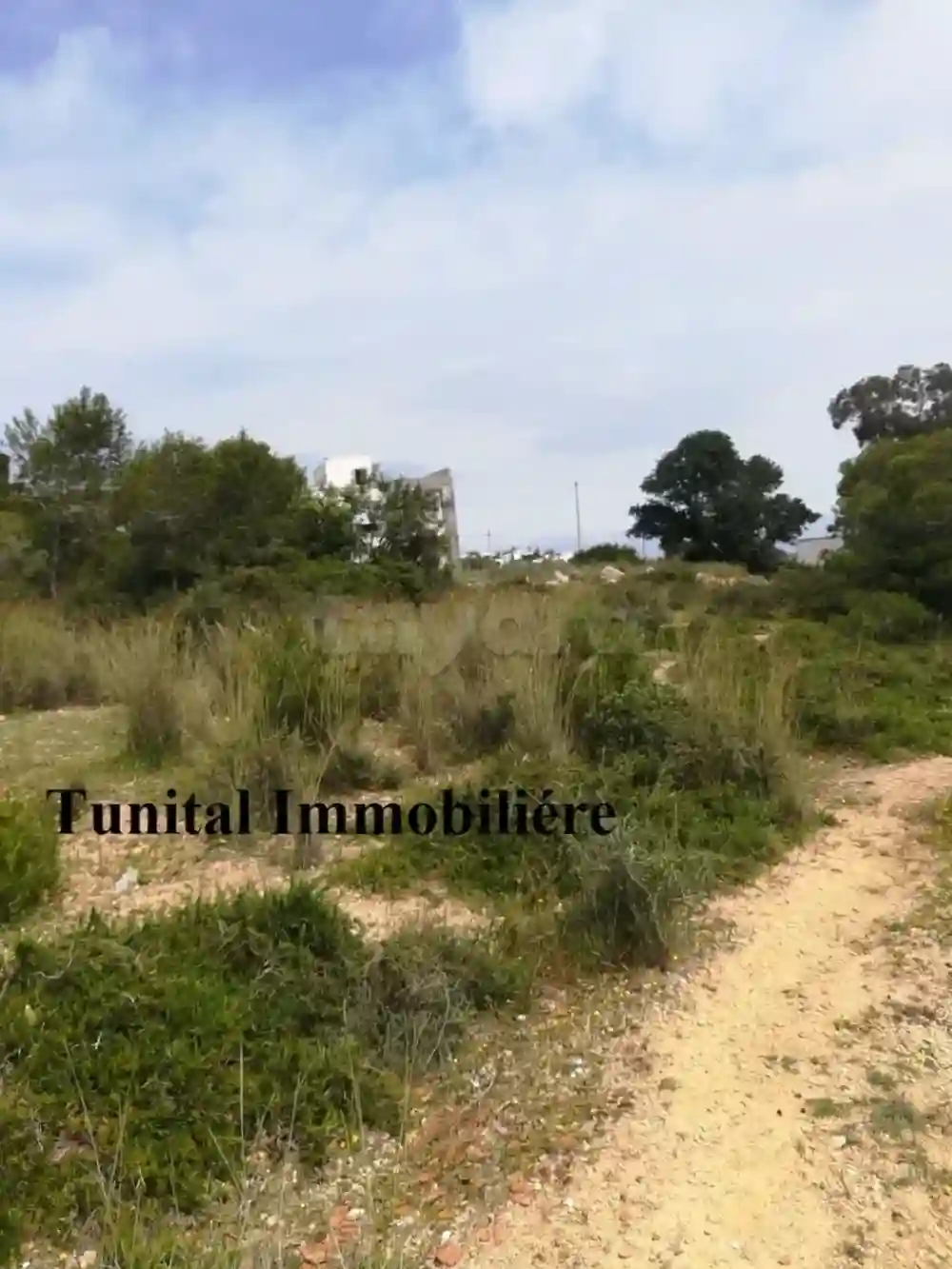 Terrain vue Panoramique la Marsa Jbal Khaoui à Cite Bhar Lazreg - Vue 3