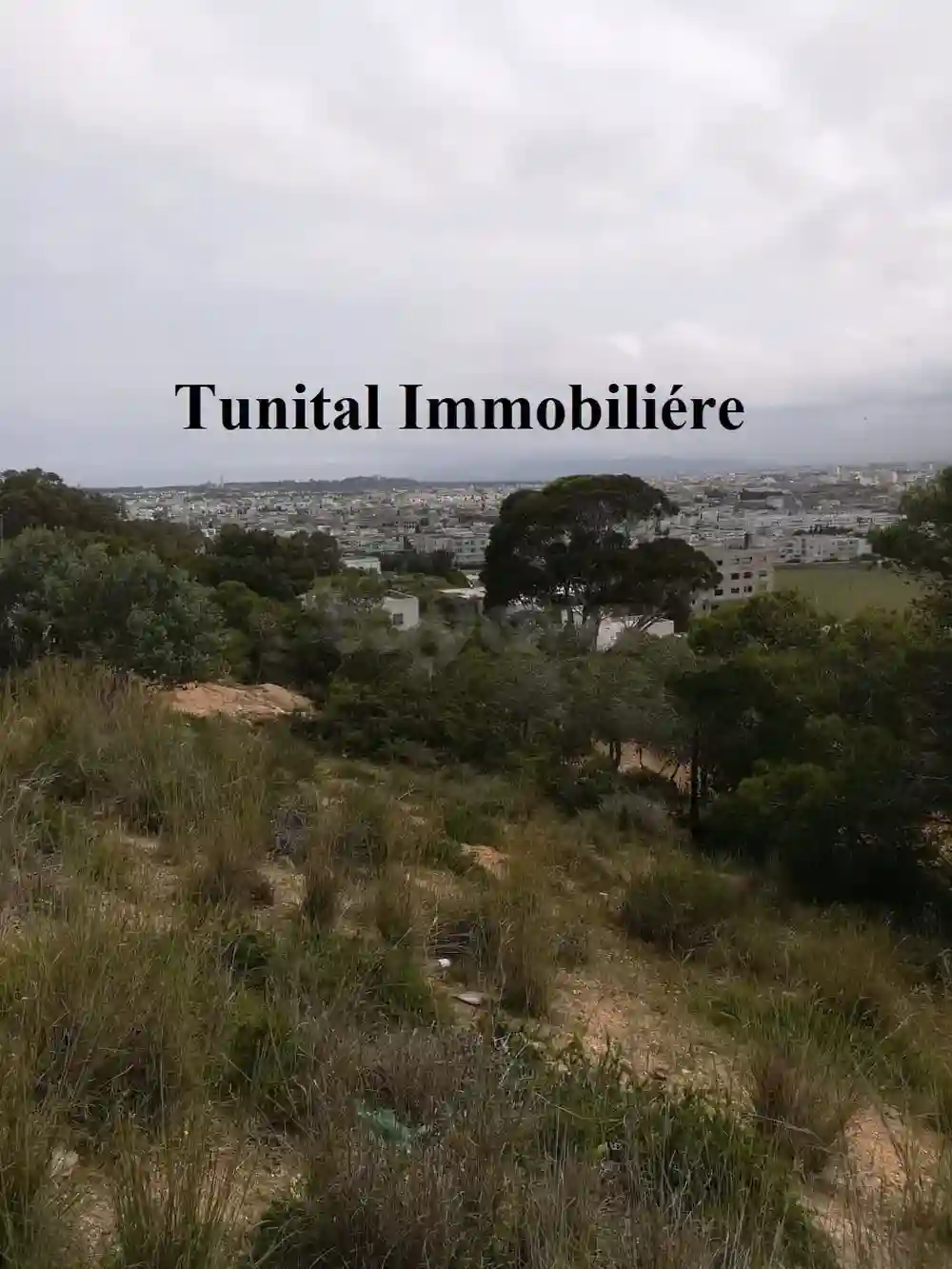 Terrain vue Panoramique la Marsa Jbal Khaoui à Cite Bhar Lazreg - Vue 4