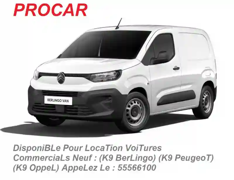K9 Commercial A Louer - Vue 2