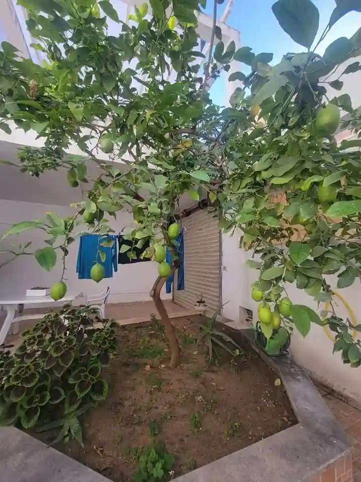 Belle Villa Duplex à Bizerte - Vue 2
