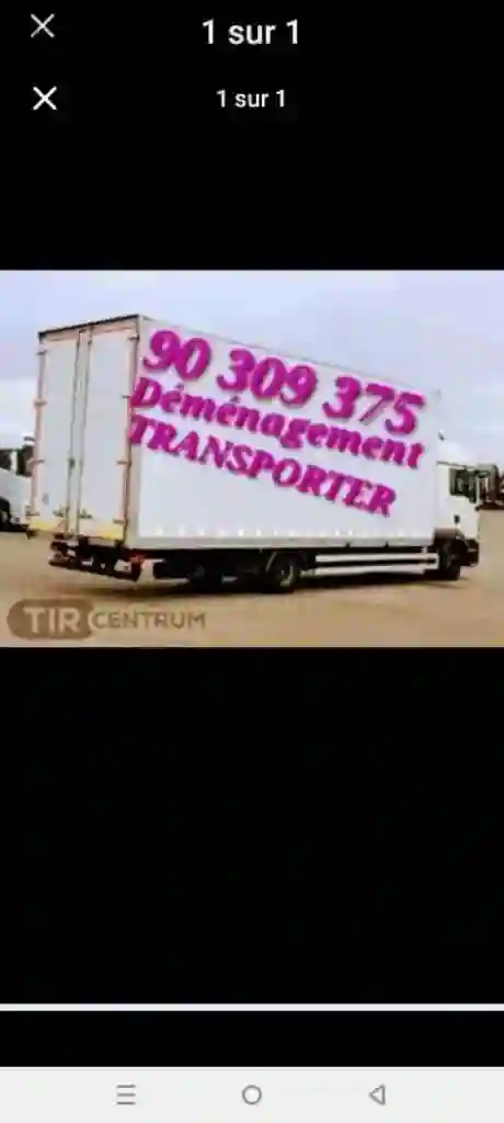 Déménagement Transporteur Maison 90309375