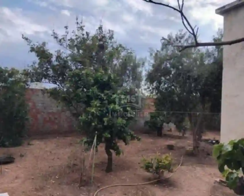 Maison s+3 Avec Jardin et Garage à Vendre à Hammamet51355351 - Vue 1