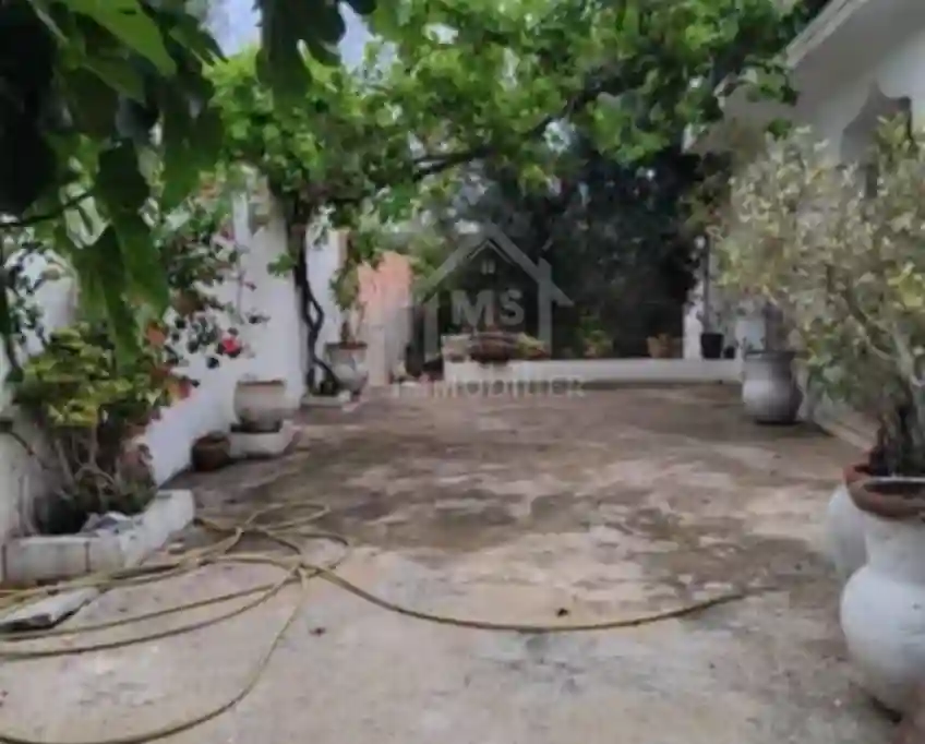 Maison s+3 Avec Jardin et Garage à Vendre à Hammamet51355351 - Vue 4