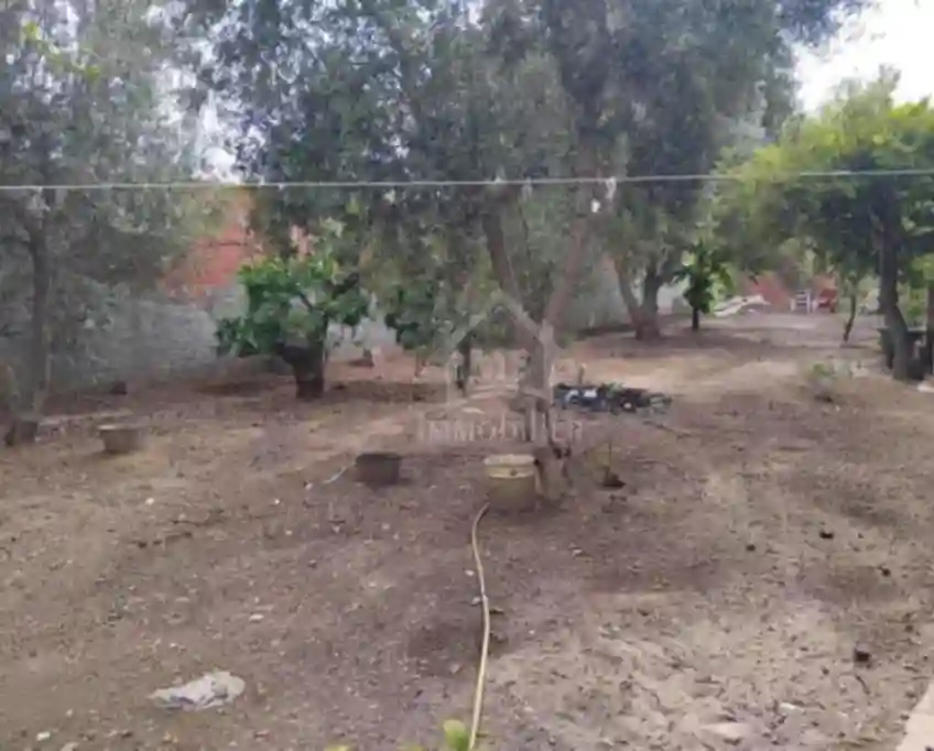 Maison s+3 Avec Jardin et Garage à Vendre à Hammamet51355351 - Vue 5