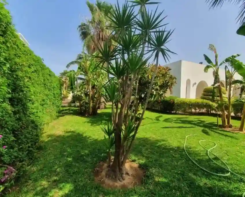 Villa Azuria (réf V2813)