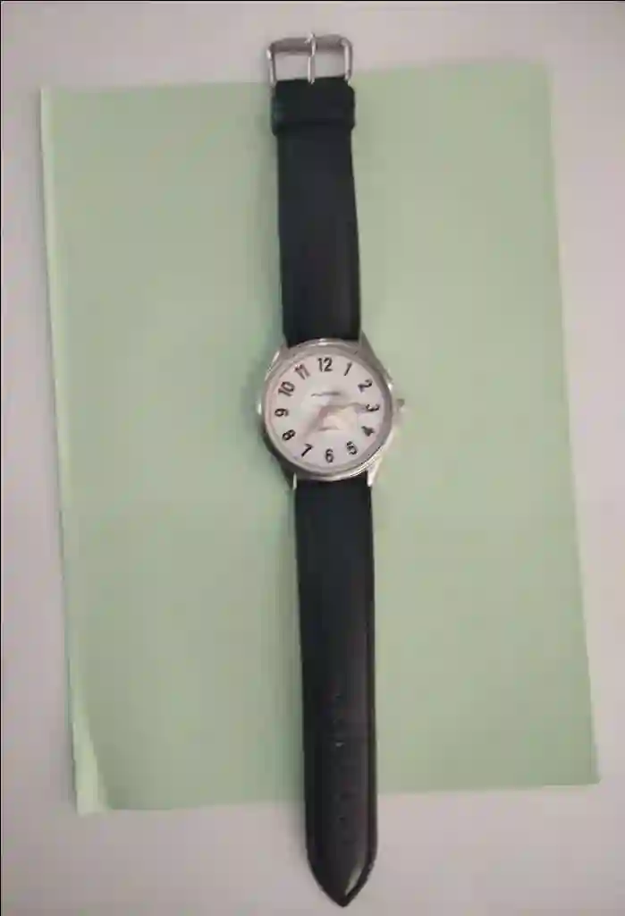Montre Classique Vintage
