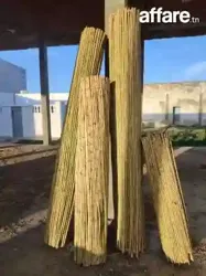 Canisse Pour Décoration