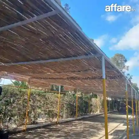 Canisse Pour Décoration - Vue 1