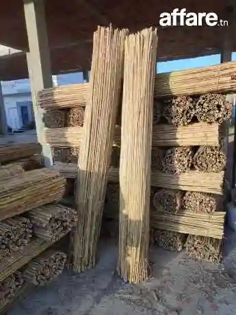 Canisse Pour Décoration - Vue 7
