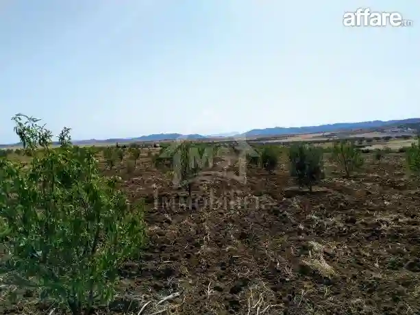 4 Hectares Ayant une vue de mer à Vendre à Hammamet Sud - Vue 8