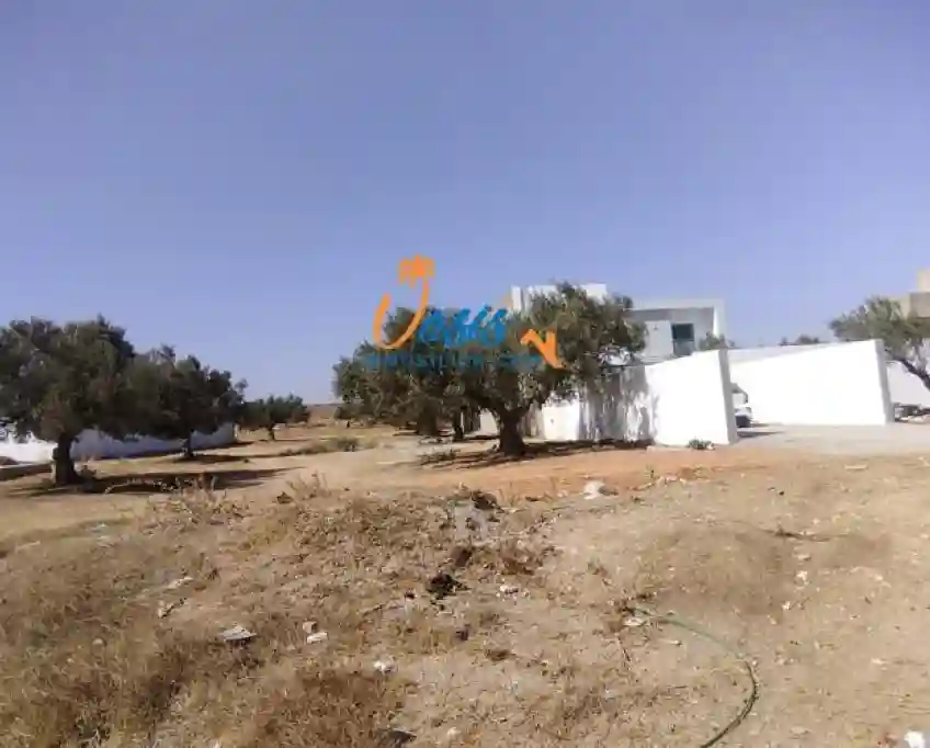 A Vendre Terrain Jinene Hammamet - Vue 1