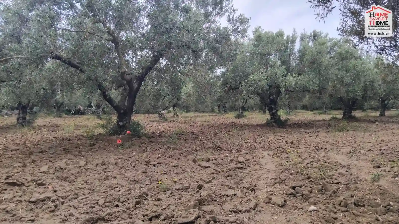 Terrain Agricole Chana à Nabeul à Nabeul - Vue 2
