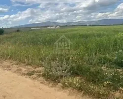 Terrain de 7500 m² à Vendre à Hammamet sud 51355351
