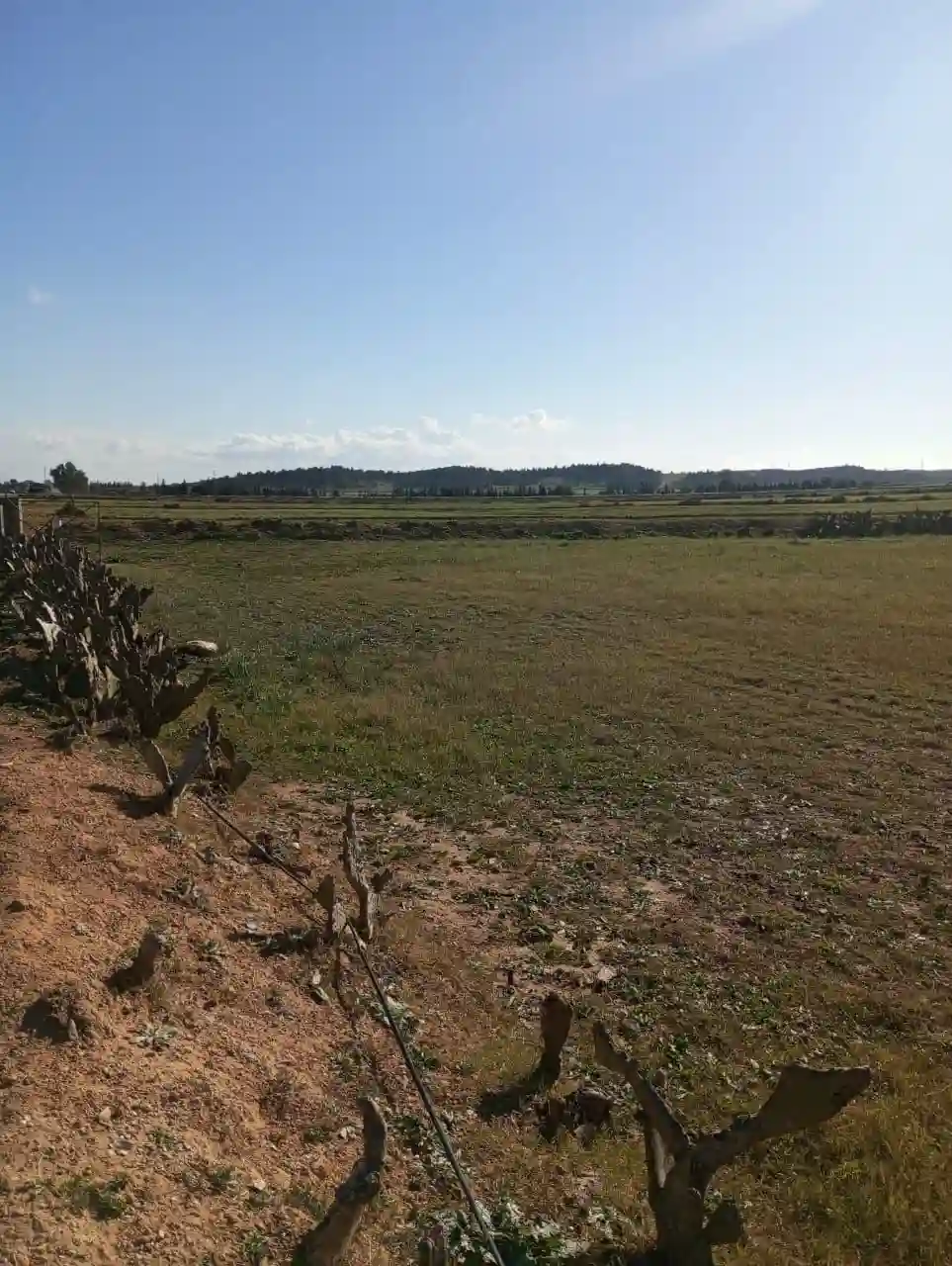 Av Terrain 6 Hectares Avec Sondage sur la Route à Zaghouan - Vue 1