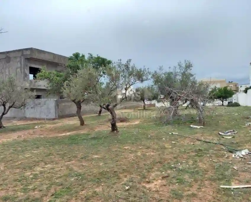 Terrain de 250 m² à Hammamet Nord à Vendre 51355351 - Vue 1