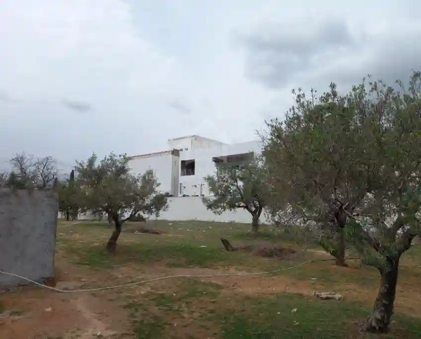 Terrain de 250 m² à Hammamet Nord à Vendre 51355351 - Vue 2