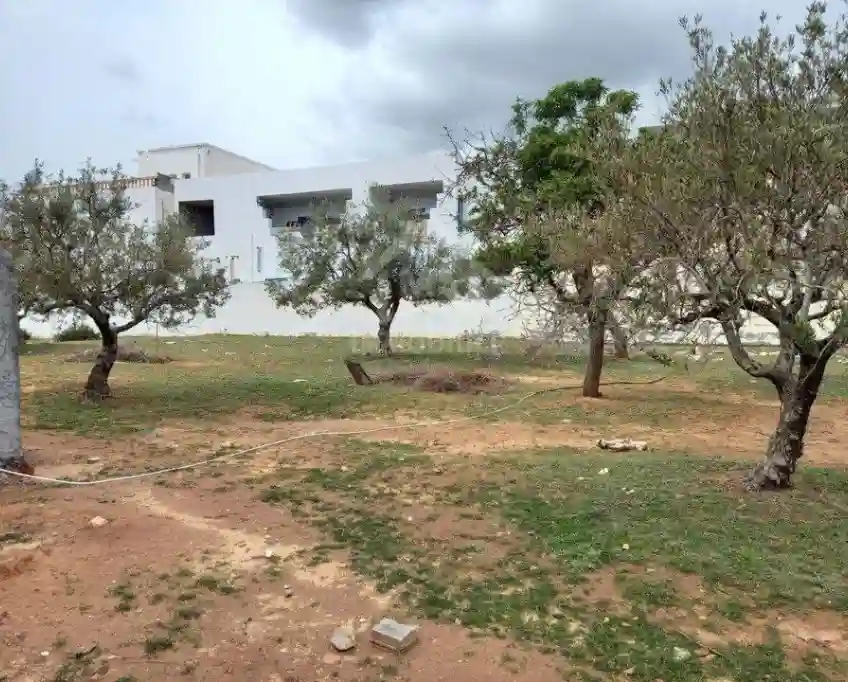 Terrain de 250 m² à Hammamet Nord à Vendre 51355351 - Vue 3