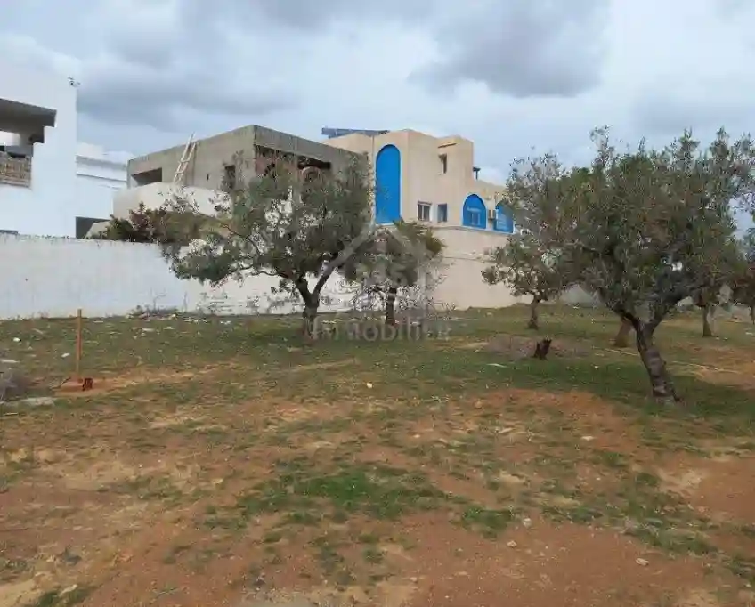Terrain de 250 m² à Hammamet Nord à Vendre 51355351 - Vue 4