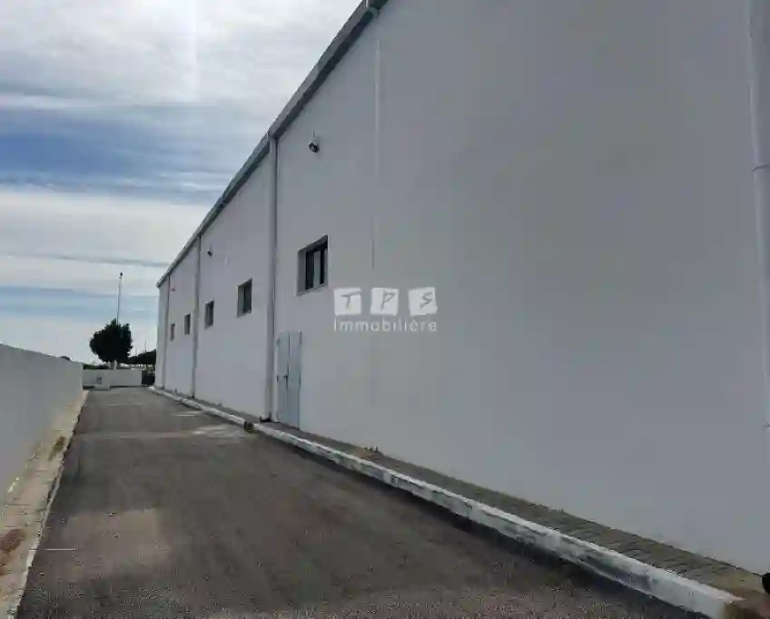 Usine Fleur de Citronnier(réf L3149) - Vue 3