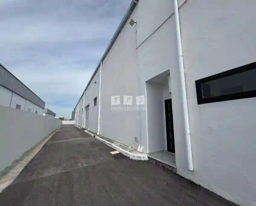 Usine Fleur de Citronnier(réf L3149) - Vue 9