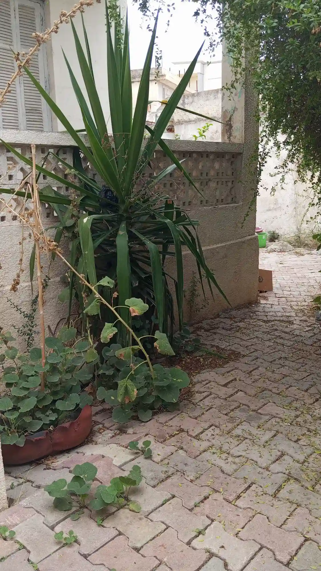 A Vendre Maison Avec Jardin a Manouba - Vue 3