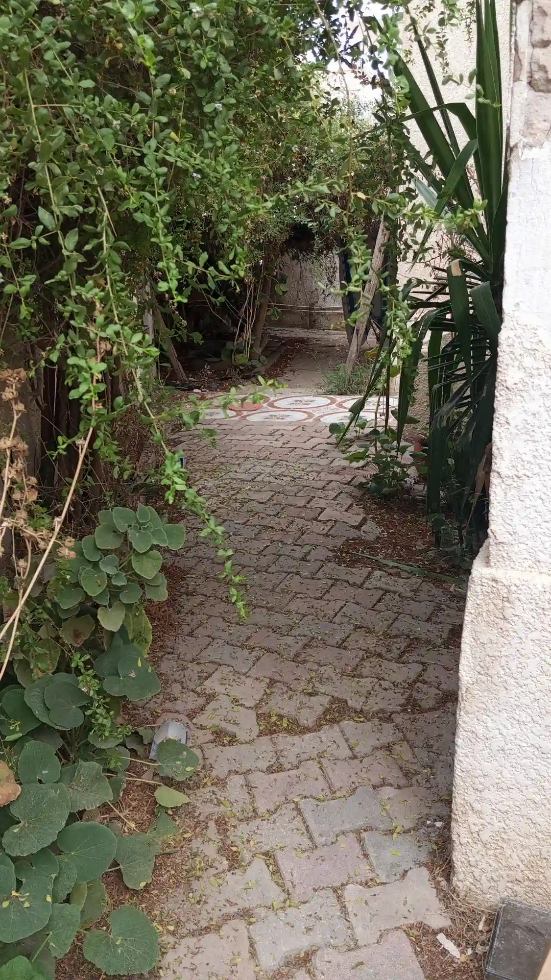 A Vendre Maison Avec Jardin a Manouba - Vue 8