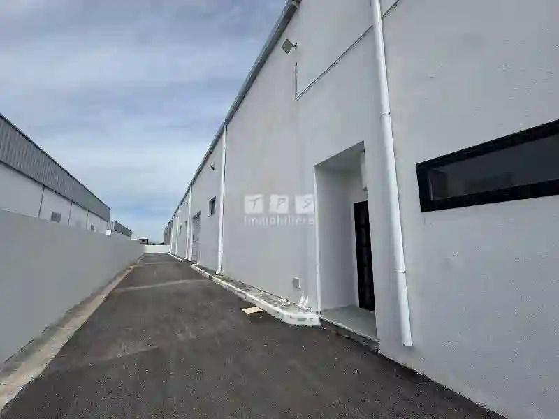 Usine Fleur de Citronnier Zone Indusrielle Enfidha