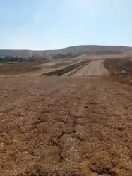 Un Terrain Agricole à Bizerte