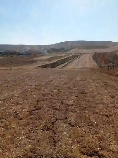 Un Terrain Agricole à Bizerte