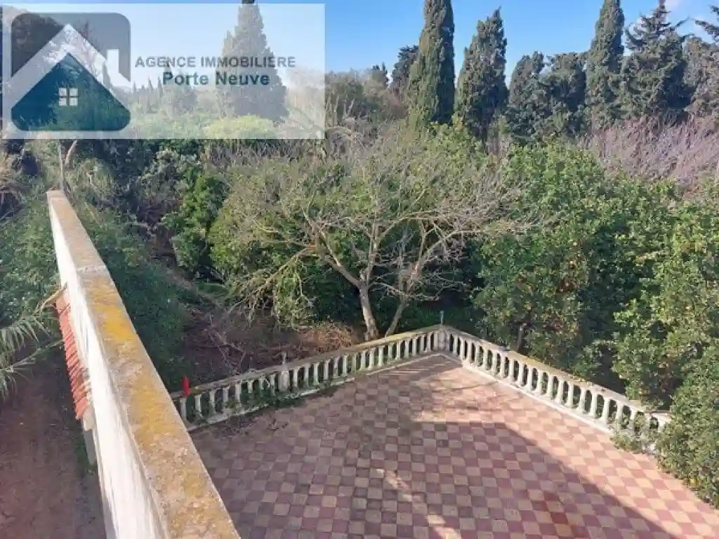 Maison de Campagne 5000 m² ras Jebel - Vue 1