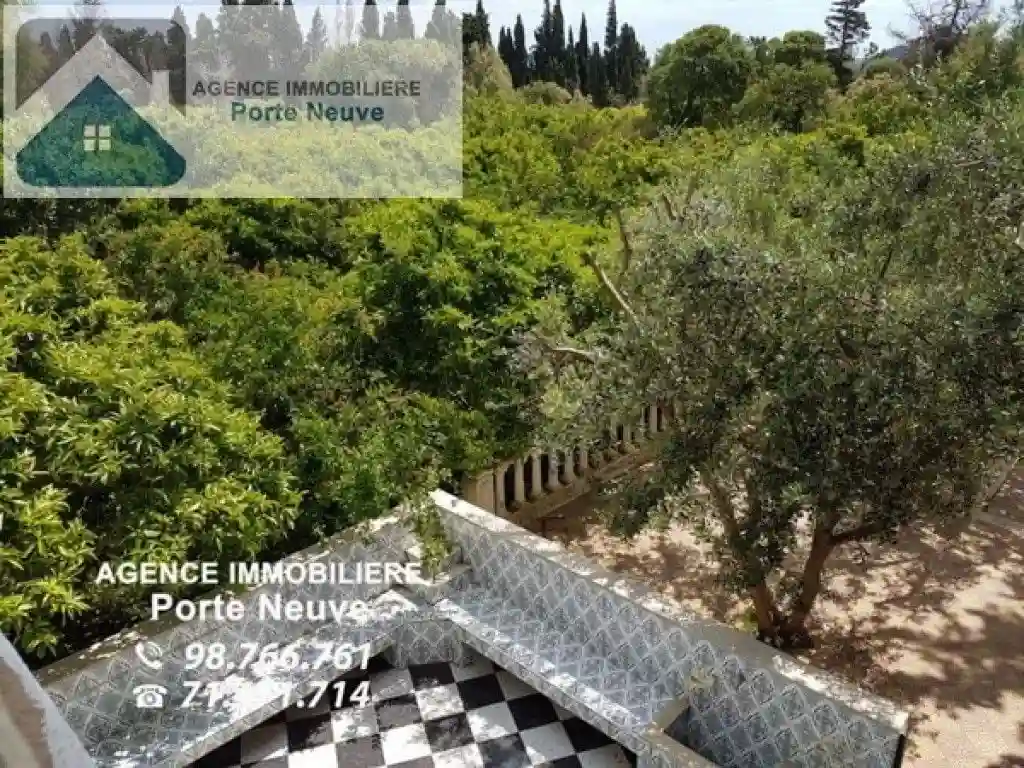 Maison de Campagne 5000 m² ras Jebel - Vue 3