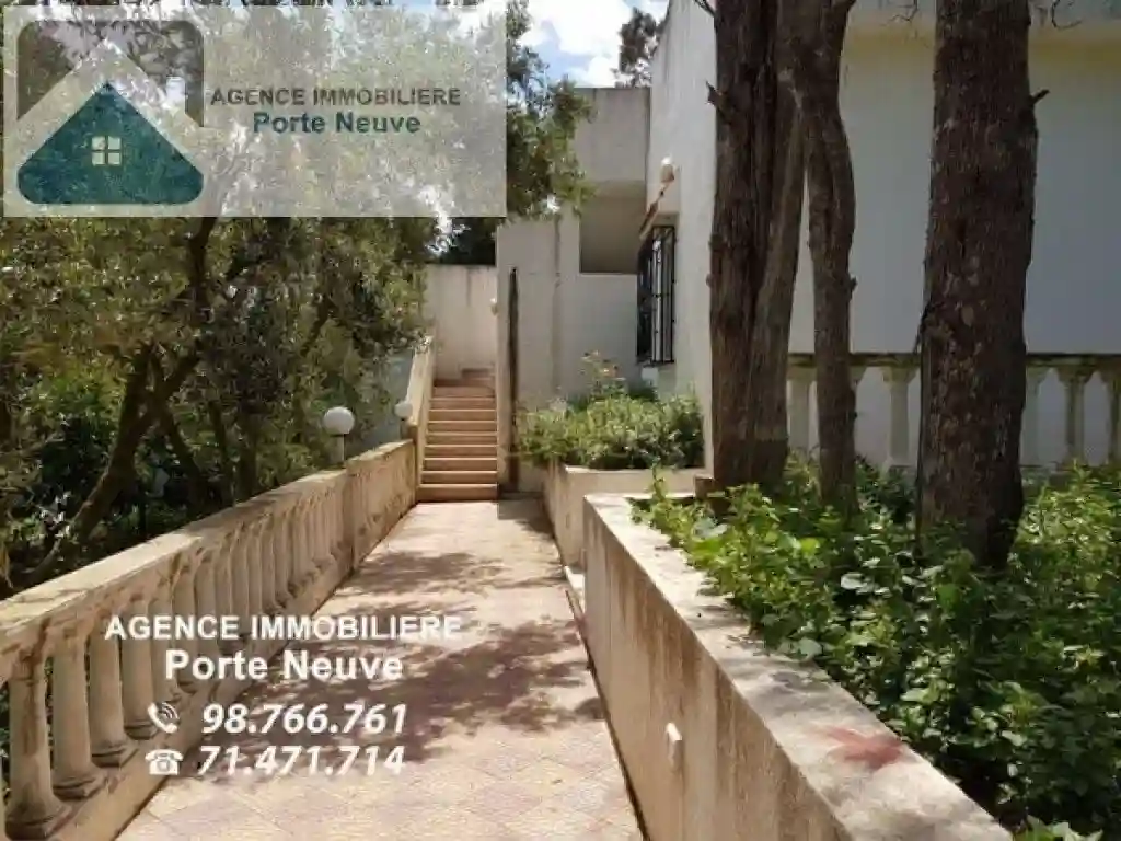 Maison de Campagne 5000 m² ras Jebel - Vue 7