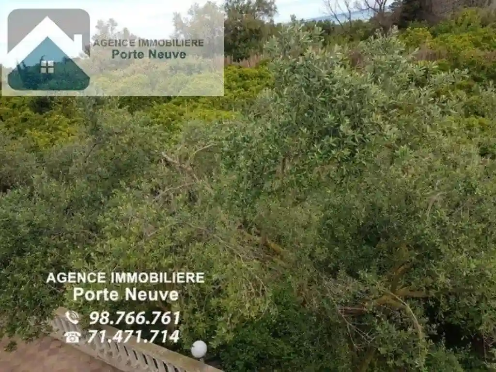 Maison de Campagne 5000 m² ras Jebel - Vue 9