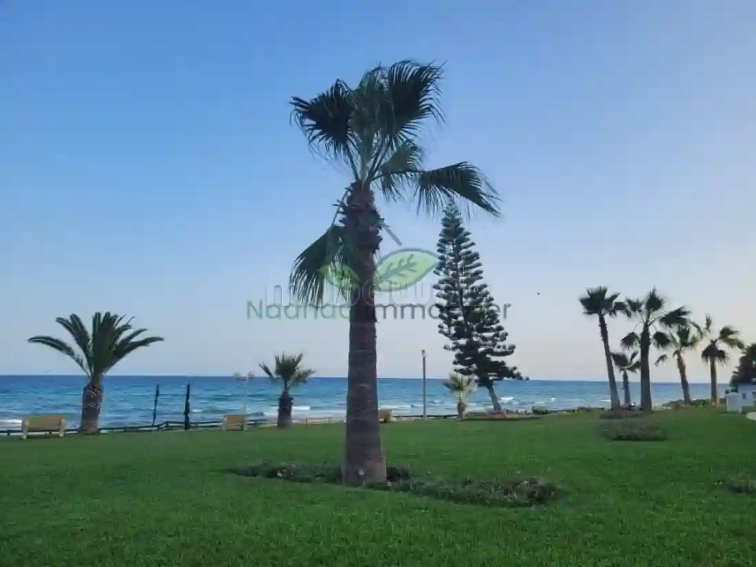 Locatin Estivale Un Appartement S2 Pied Dans L'éau - Vue 1
