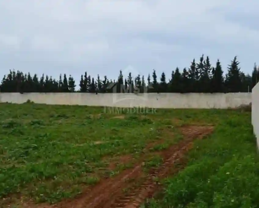 Terrain de 716 m² à Vendre à Hammamet sud 51355351 - Vue 4