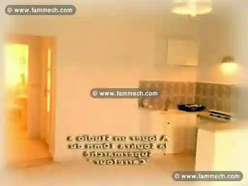 S+1 Meublé a Soukra