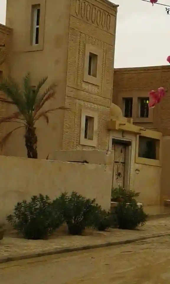 Une Belle Villa à Tozeur Cs5527 - Vue 4