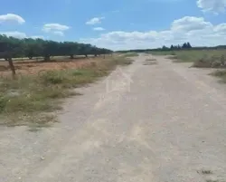 Terrain de 4000 m² à Vendre à 100 md à Hammamet sud 51355351