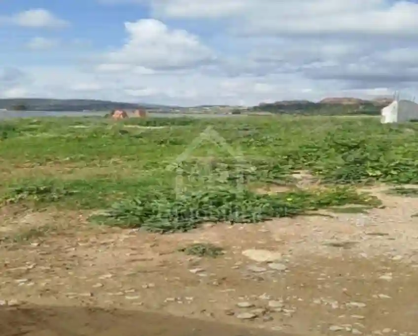 Terrain de 4000 m² à Vendre à 100 md à Hammamet sud 51355351 - Vue 2