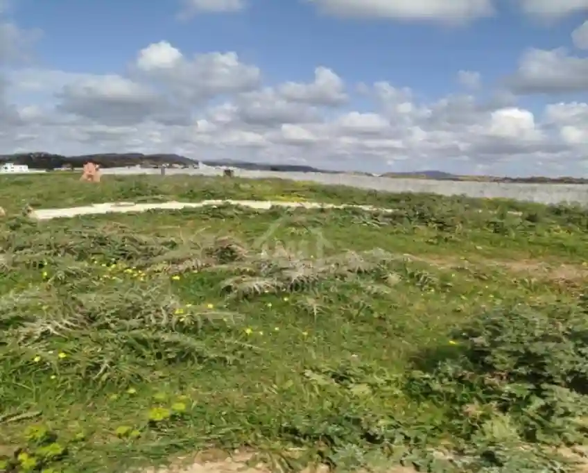 Terrain de 4000 m² à Vendre à 100 md à Hammamet sud 51355351 - Vue 4