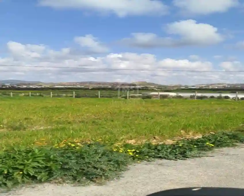 Terrain de 4000 m² à Vendre à 100 md à Hammamet sud 51355351 - Vue 5