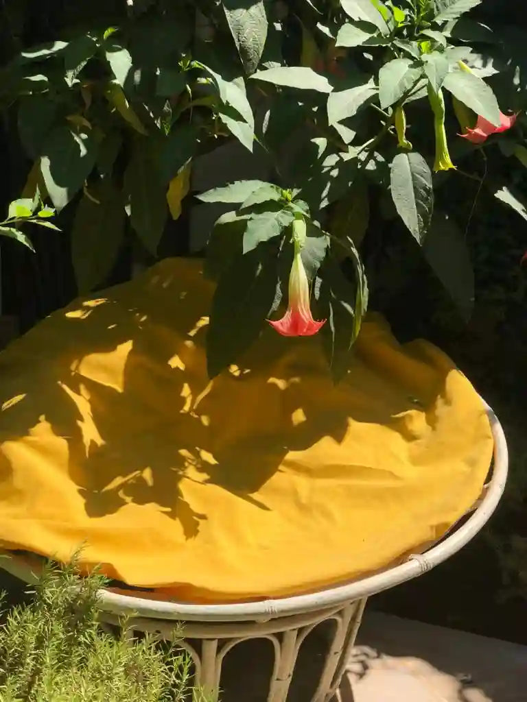 2 Fauteuils et 2poufs en Bambou Pour Jardin à Carthage - Vue 3