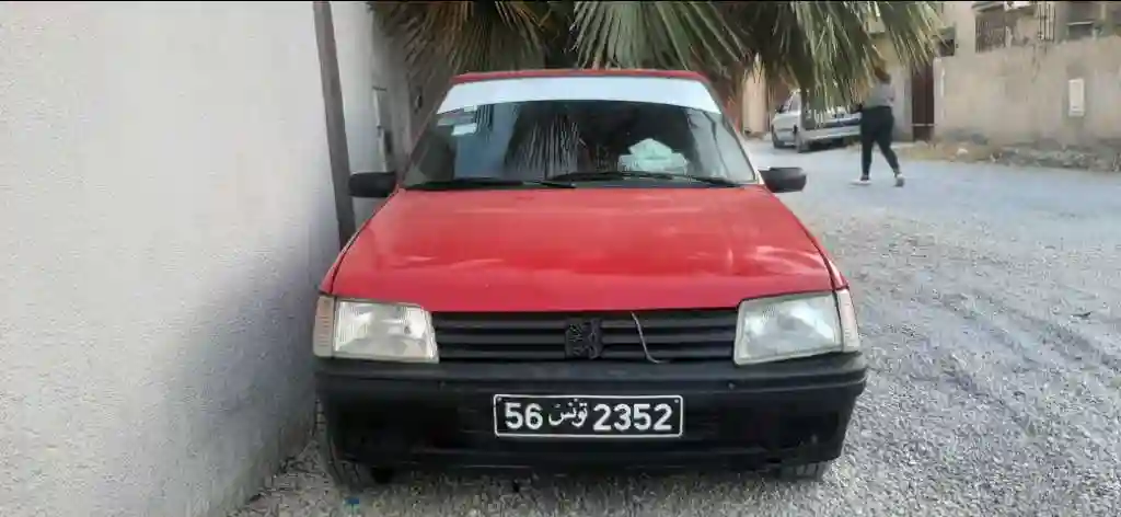 Impecable 205 Junior - Vue 2