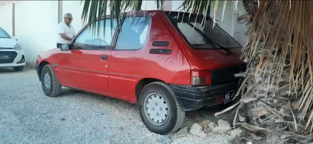 Impecable 205 Junior - Vue 4