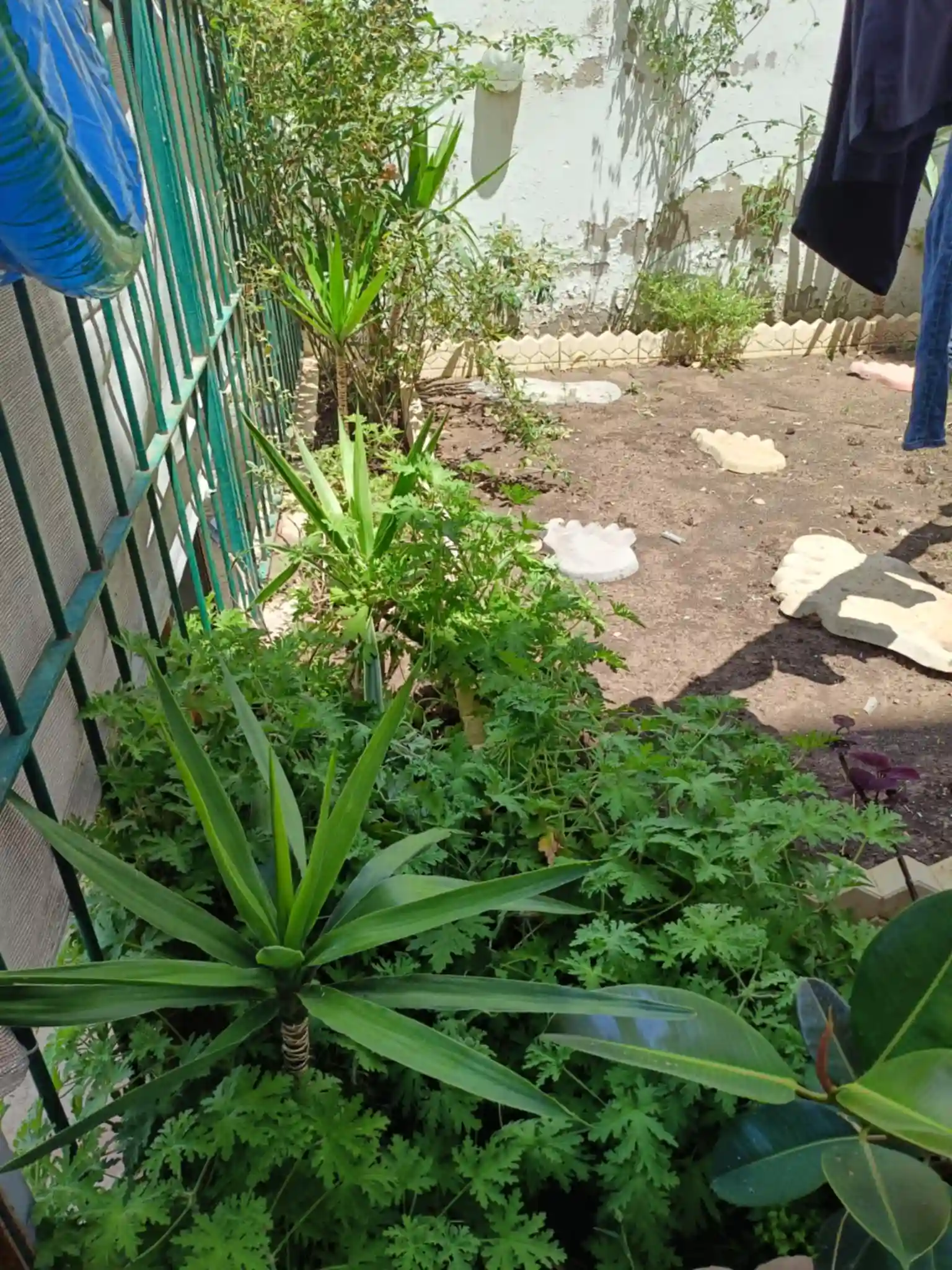 Appartement Mourouj 6 rdc Avec Jardin à El Mourouj - Vue 4