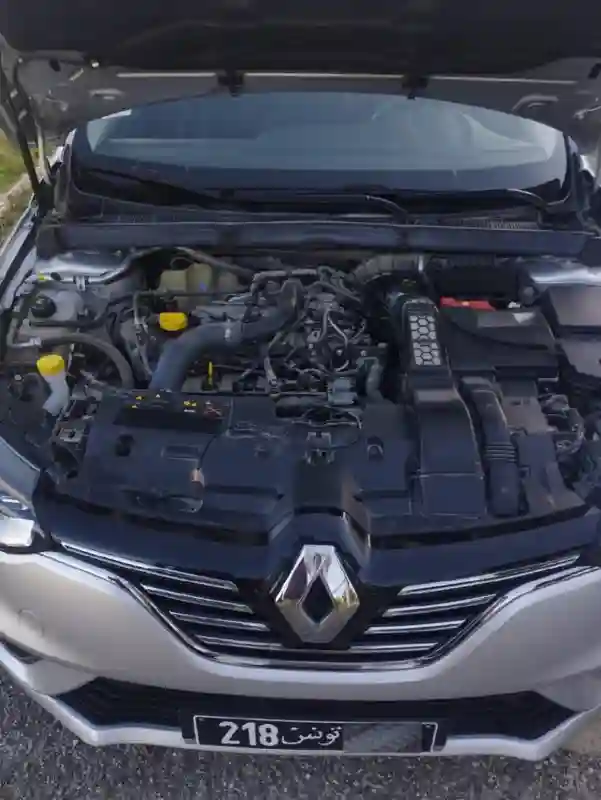Renault Megane Essence 2020 - Vue 2