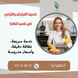 تلوج على شكون يغسّلك الفرارش والزرابي في دارك وبنهار واحد